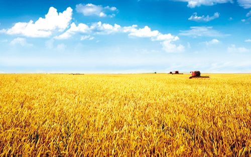 十三五期间上海将创建国家农业可持续发展试验示范区